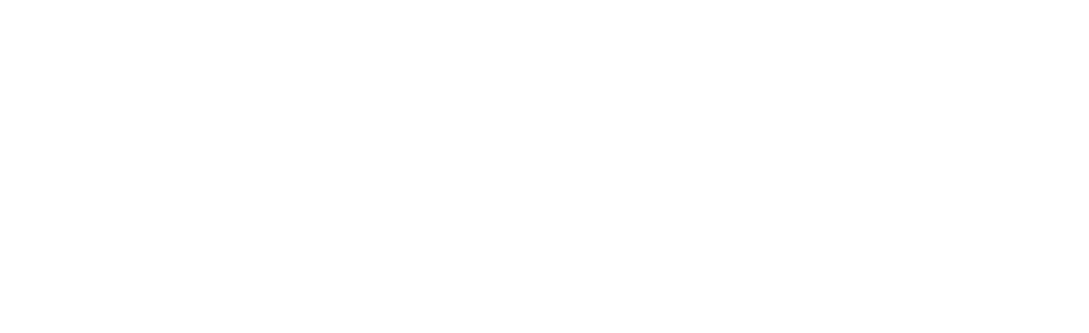 Avanza logo NEG hires